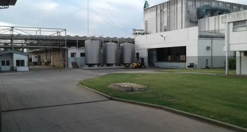 Adiós a los postres de la infancia: quiebra la empresa que hacía los Shimy y deja a 400 familias sin trabajo