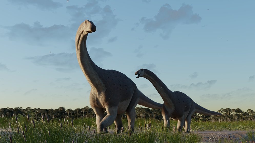 Científicos del CONICET descubren en Chubut los restos de un titanosaurio que vivió hace 66 millones de años