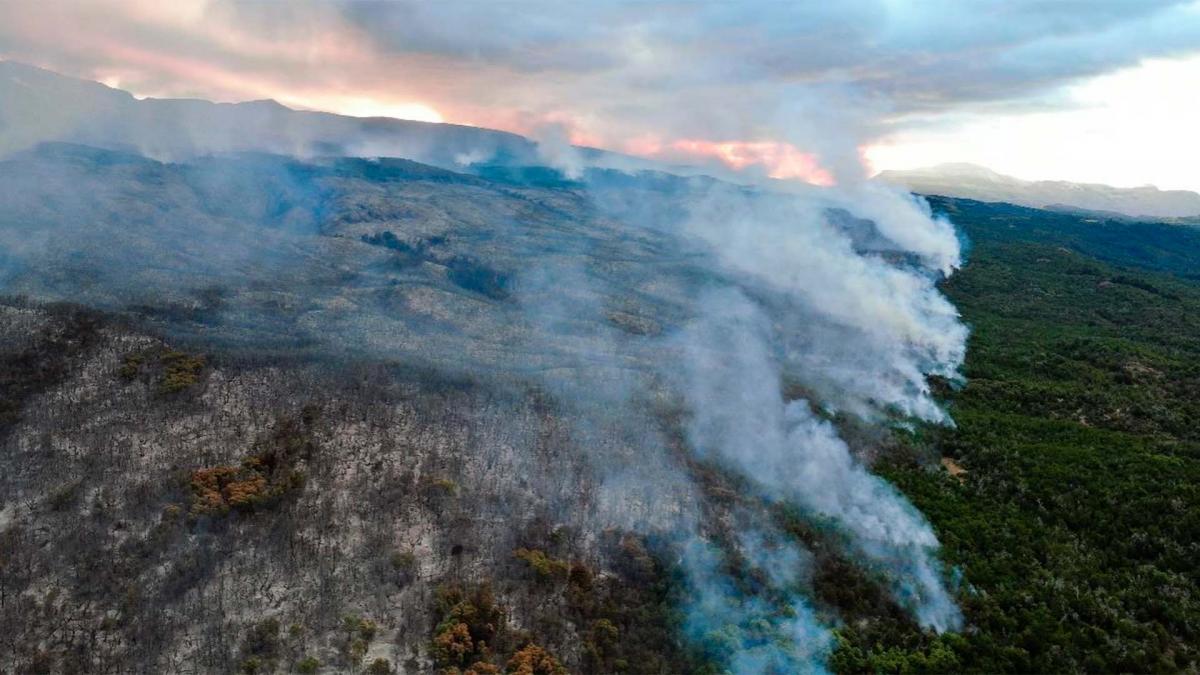Incendio en el Parque Nacional Los Alerces