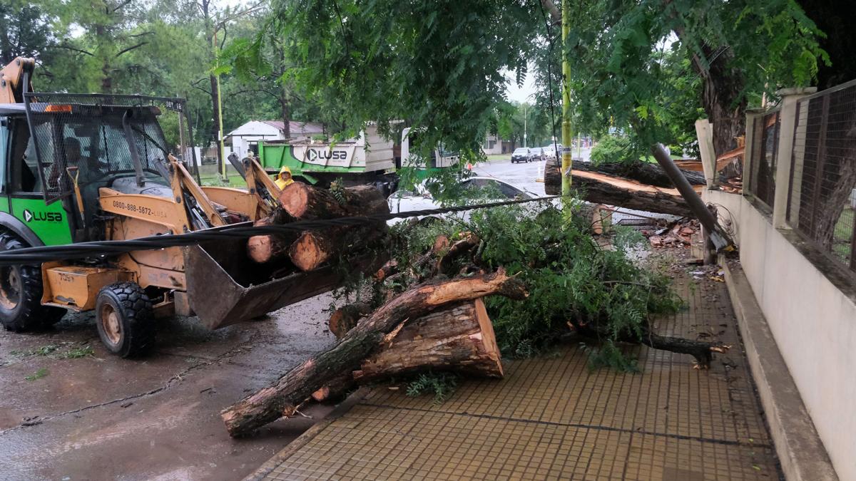 El norte argentino se vio impactado por un poderoso temporal que, afortunadamente, no causó heridos
