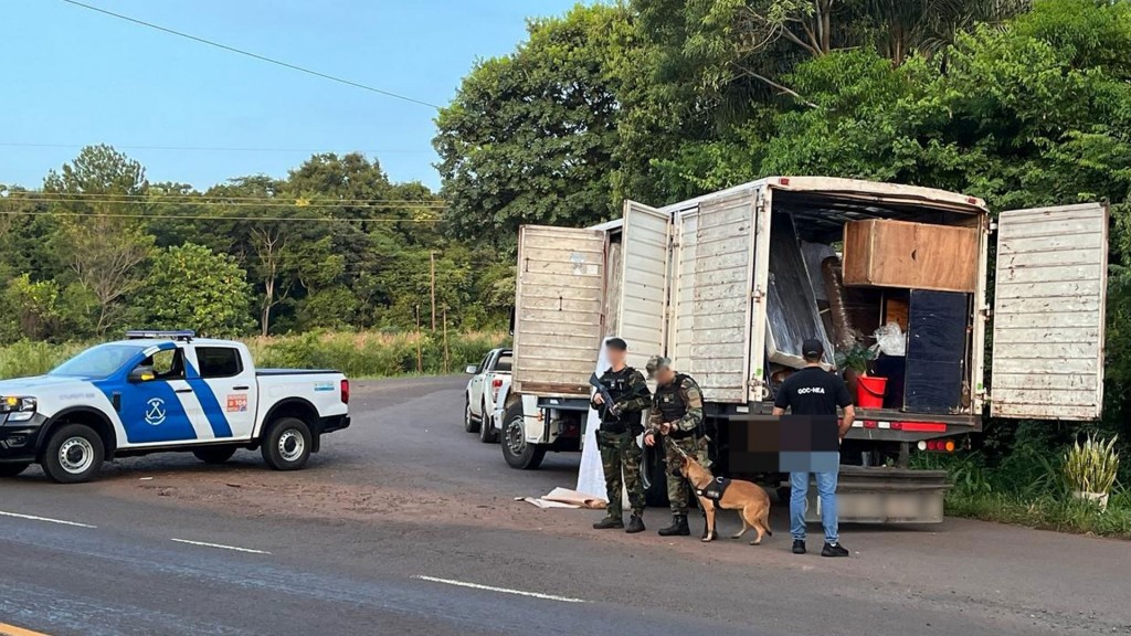 Incautan cuatro toneladas de marihuana valuadas en más de 10 mil millones de pesos en Misiones