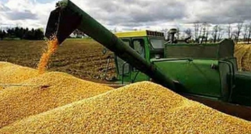 El campo dice sí al acuerdo con Estados Unidos, pero enciende alarmas por una apertura que no sería pareja