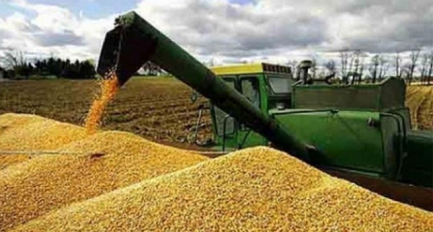 ALERTA GLOBAL: la guerra en Ir&aacute;n desata una bomba silenciosa que puede disparar el precio de los alimentos en todo el mundo