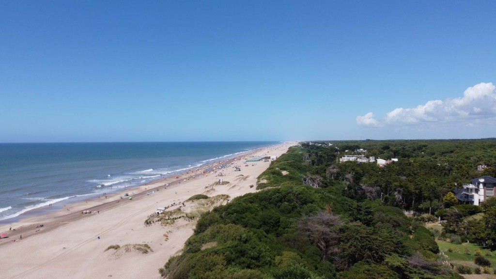 ALERTA POR LAS TIERRAS ARGENTINAS: crece la pol&eacute;mica por un proyecto que facilitar&iacute;a compras de extranjeros