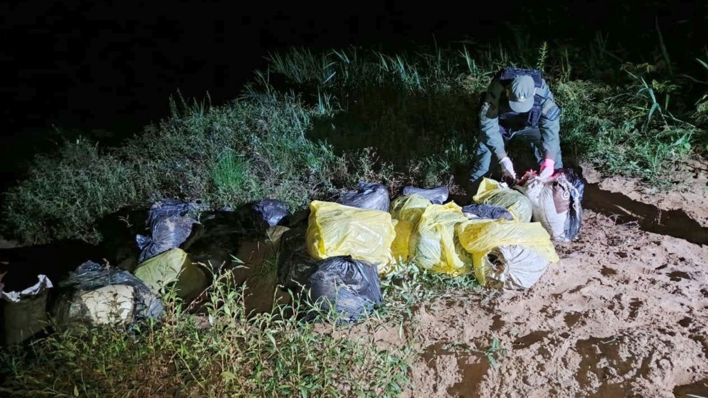 Impactante incautación: casi una tonelada de marihuana decomisada en Misiones por Gendarmería