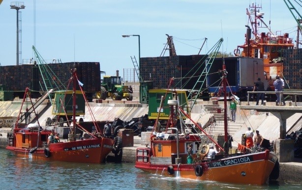 Langostinazo: el Gobierno autoriza importaciones y la pesca entra en su peor crisis en décadas