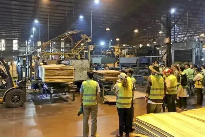 ¡Alarma en Corrientes! La principal maderera para la producción y suspende a 520 trabajadores