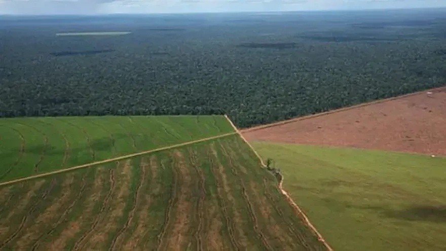 TIERRAS EN DISPUTA: la nueva ley que impulsa el Gobierno abre una fuerte pelea por desalojos, inversiones y derechos territoriales