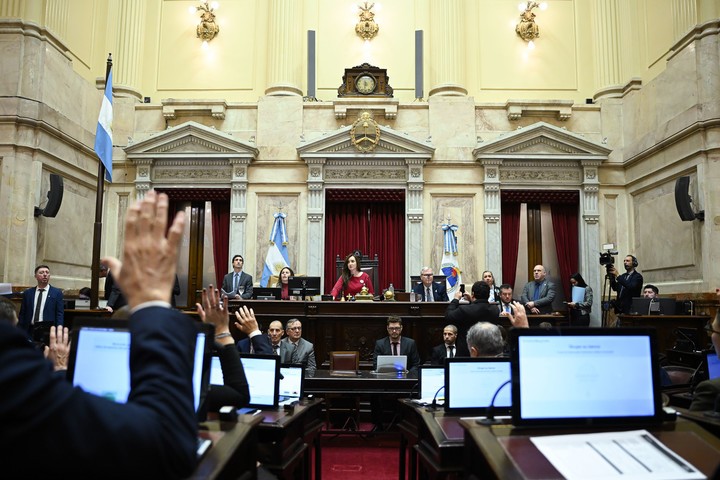 NUEVO REV&Eacute;S EN PUERTA PARA MILEI: el peronismo busca bloquear otro cap&iacute;tulo clave del proyecto oficial en el Senado