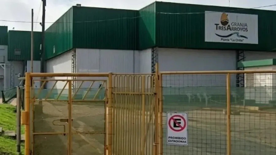 Crisis en la industria av&iacute;cola: Granja Tres Arroyos despidi&oacute; a 250 trabajadores y fren&oacute; una planta clave en Entre R&iacute;os