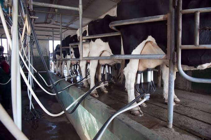 &iexcl;EL CAMPO CAMBIA! Crece el empleo, pero desaparecen productores y peque&ntilde;as empresas