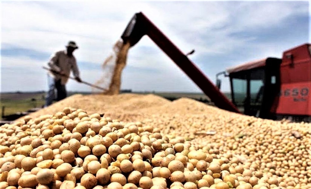 LA TIERRA AGR&Iacute;COLA SE DISPARA: el boom de los campos deja a los peque&ntilde;os productores contra las cuerdas