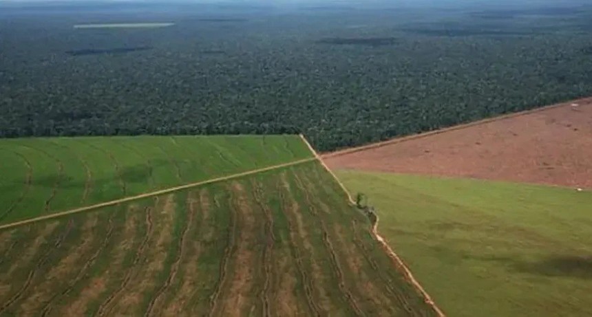 TIERRAS EN DISPUTA: la nueva ley que impulsa el Gobierno abre una fuerte pelea por desalojos, inversiones y derechos territoriales