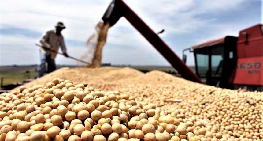 LA TIERRA AGR&Iacute;COLA SE DISPARA: el boom de los campos deja a los peque&ntilde;os productores contra las cuerdas