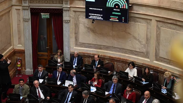 Golpe histórico en el Congreso: el Senado derrumbó el veto de Milei a la ley de discapacidad