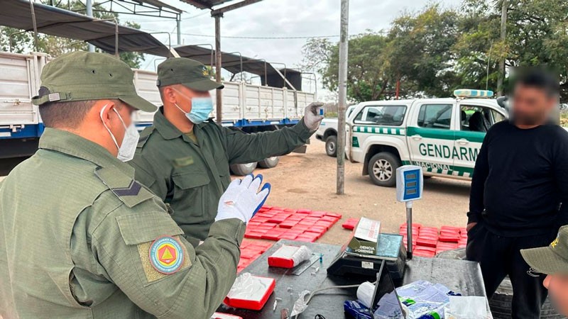 Golpe millonario al narco: Gendarmería secuestró casi media tonelada de cocaína en un camión