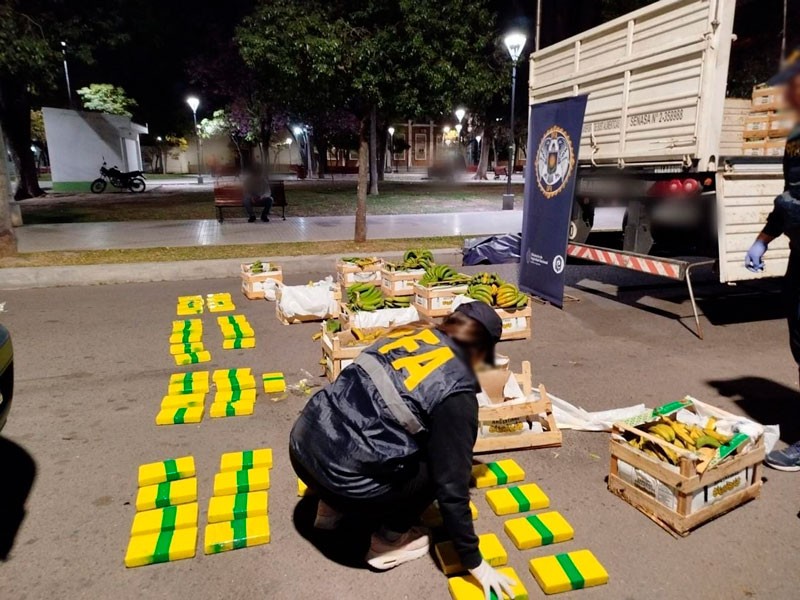 Camión trampa: descubren 85 kilos de cocaína escondidos entre bananas y papayas