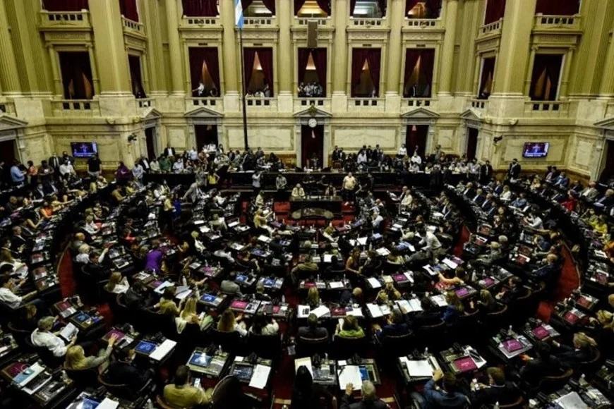 OPOSICI&Oacute;N EN ALERTA: Diputados vuelve a desafiar a Milei con dos temas sensibles para la Rosada