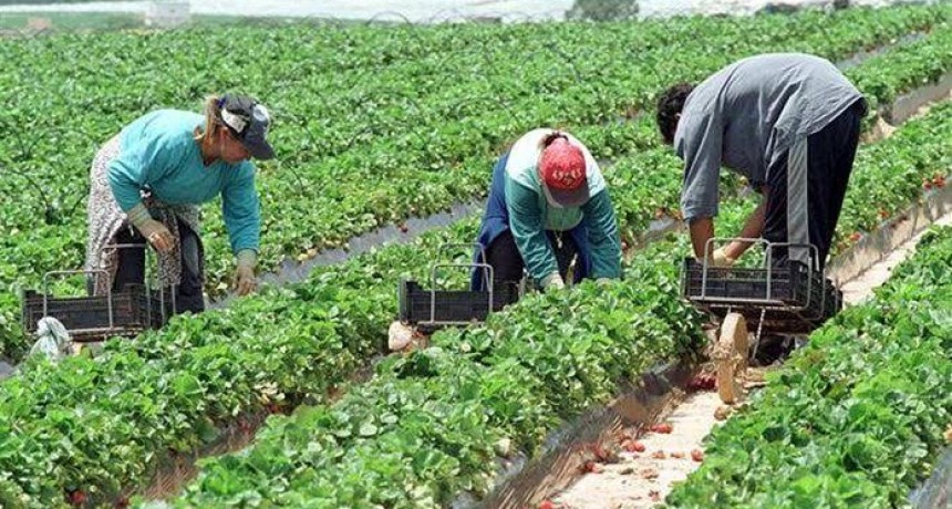 ALERTA EN EL CAMPO: 120.000 empleos rurales quedaron bajo presi&oacute;n tras vencer un decreto clave