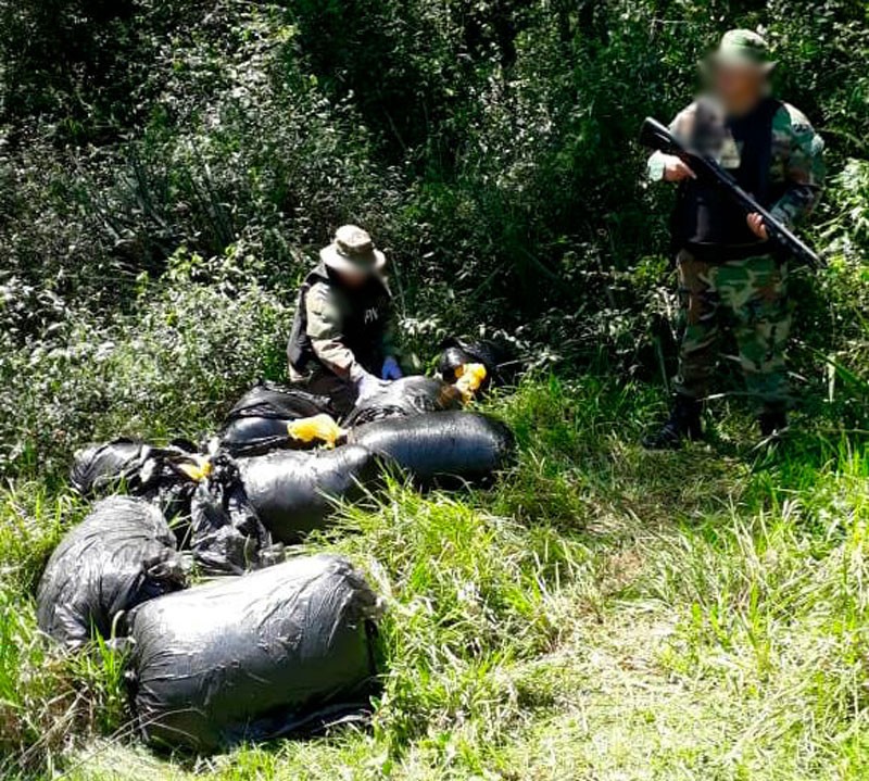 Prefectura secuestra más de 140 kilos de marihuana en Misiones