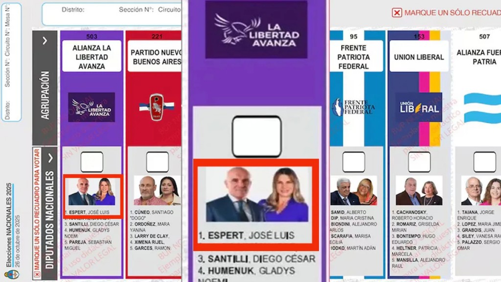 Freno judicial al Gobierno: Espert seguirá en la Boleta Única Papel