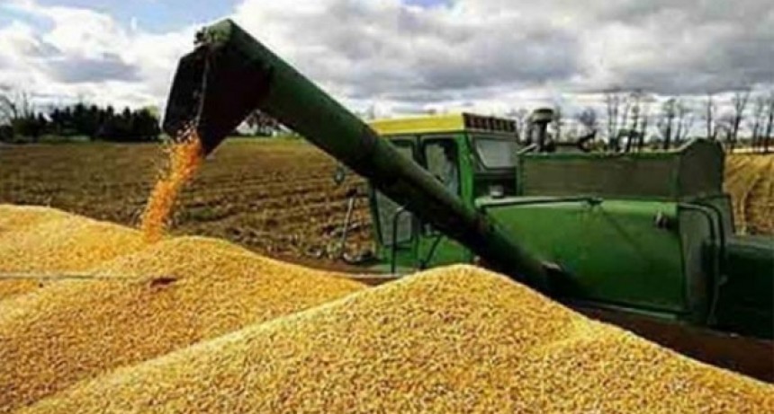 La recaudación por retenciones cayó al nivel más bajo en siete años: el costo de la “fiesta” Milei-Caputo