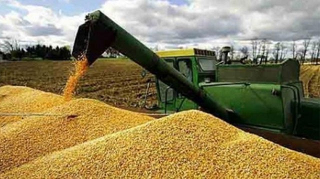 Golpe al fisco y apuesta desesperada por dólares: el Gobierno baja retenciones y enciende la alarma económica