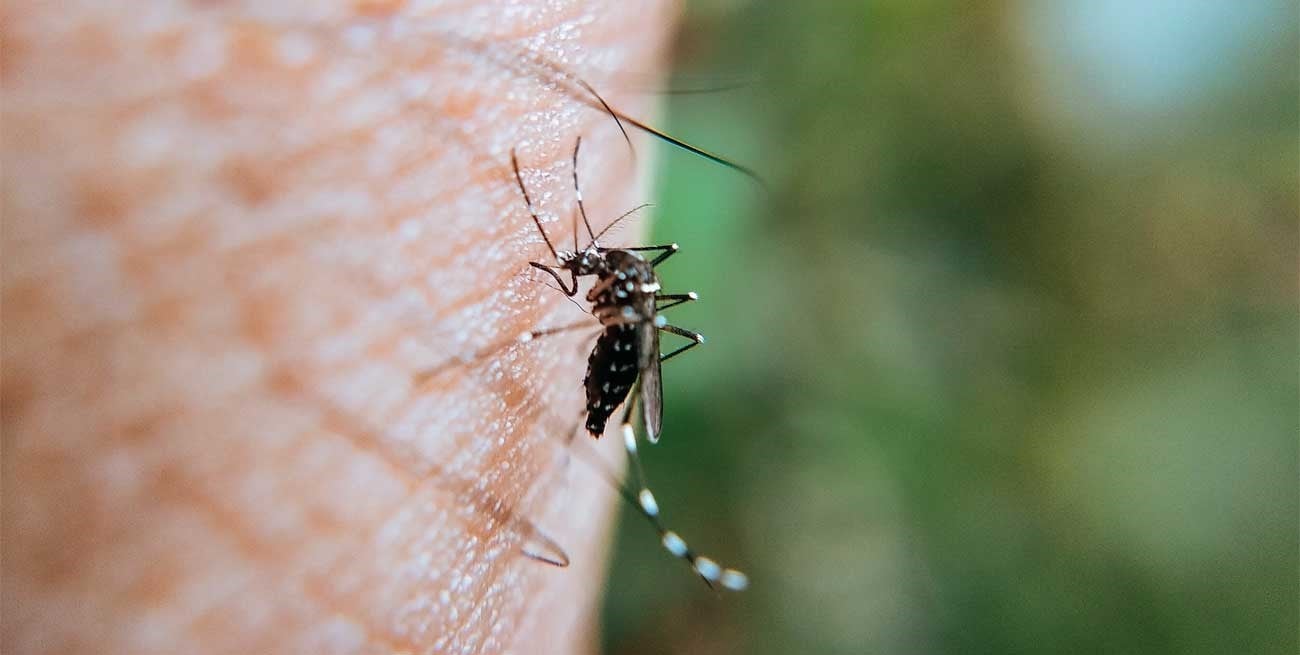 Temporada récord de dengue con más de 180,000 casos reportados